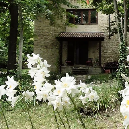 Nocleg ze śniadaniem La Casita 3*