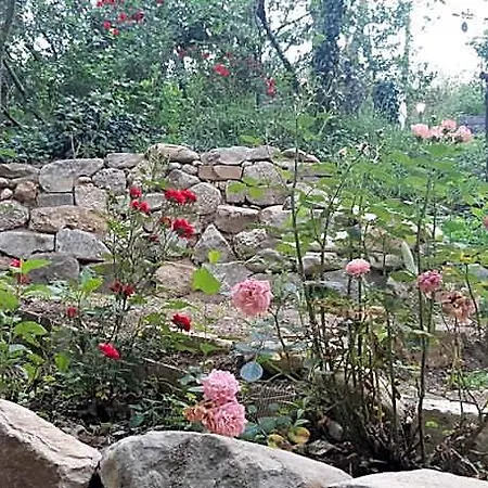 La Casita Santa Vittoria in Matenano